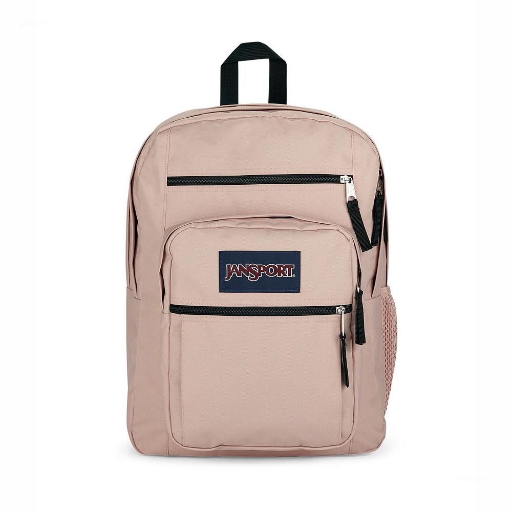 Magasin Sac A Dos Ordinateur JanSport Paris BIG STUDENT Rose